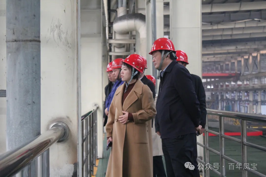 陈佳到宝威（中国）调研