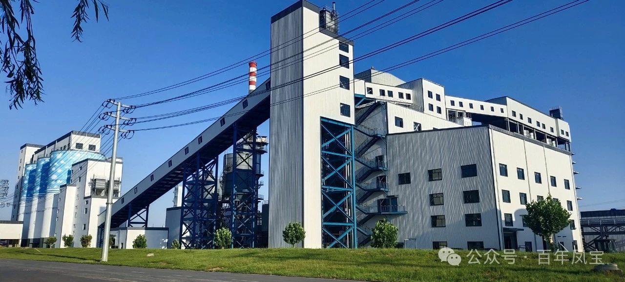 宋争辉到宝威（中国）集团调研